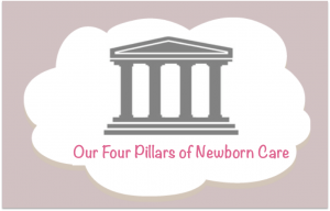 Four Pillars of Newborn Care - Hush Little Baby