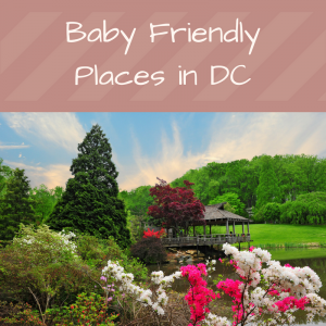 Baby Friendly Places in DC