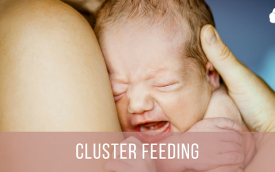 Cluster Feeding