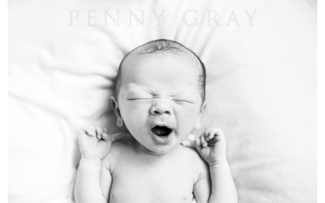 Top 5 Washington DC Newborn Photographers 2018