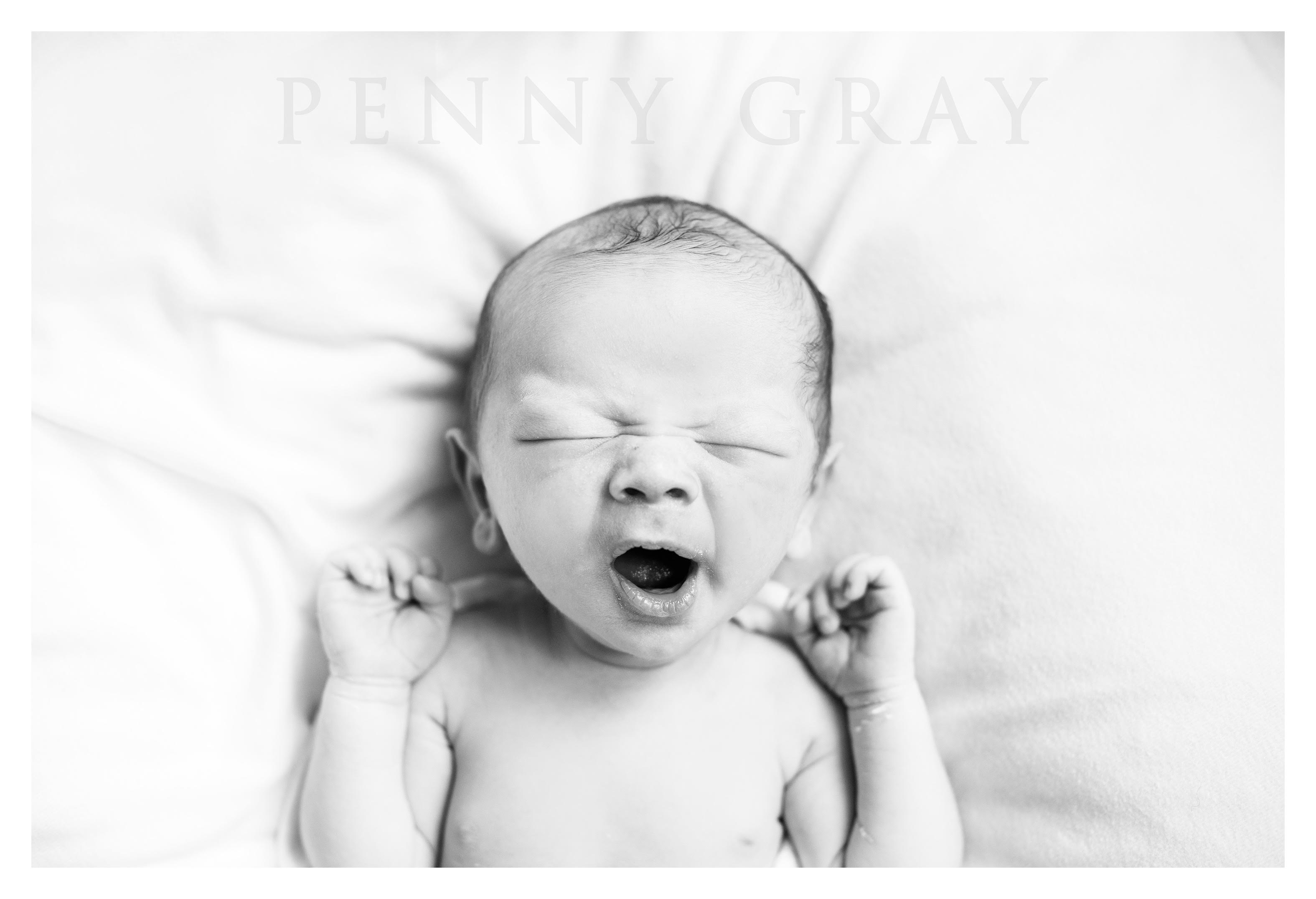 Top 5 Washington Dc Newborn Photographers 2018 Hush Little Baby Newborn Care Baby Nurse